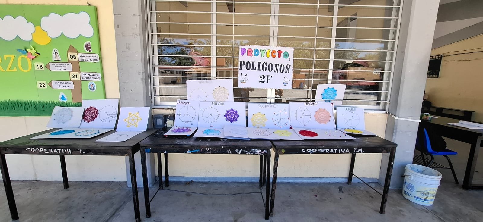 Proyecto Polígonos